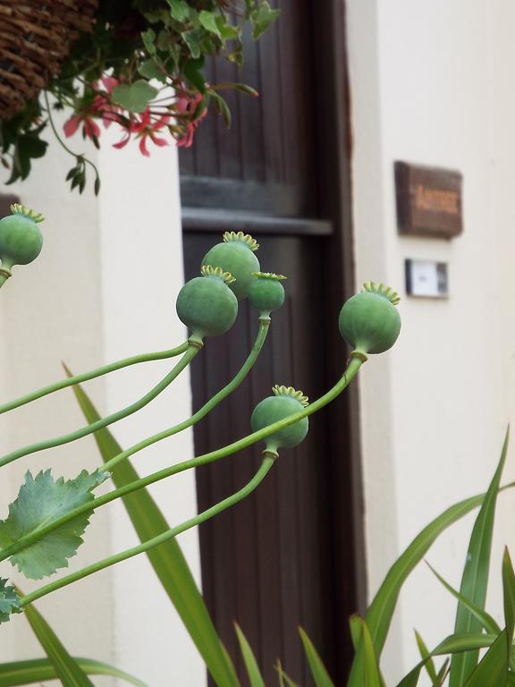 The Stableyard Apartment เบดฟอร์ด ห้อง รูปภาพ